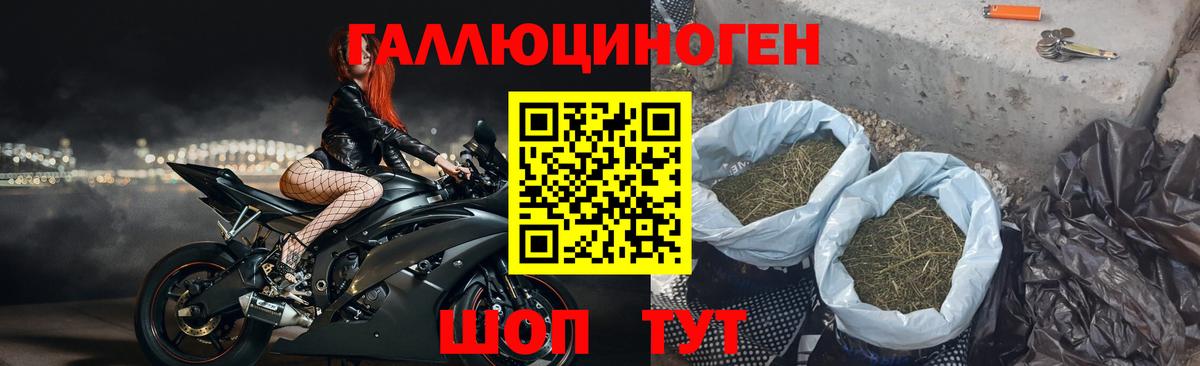 Мурино  Псилоцибиновые грибы ЛСД  Вход с VPN 